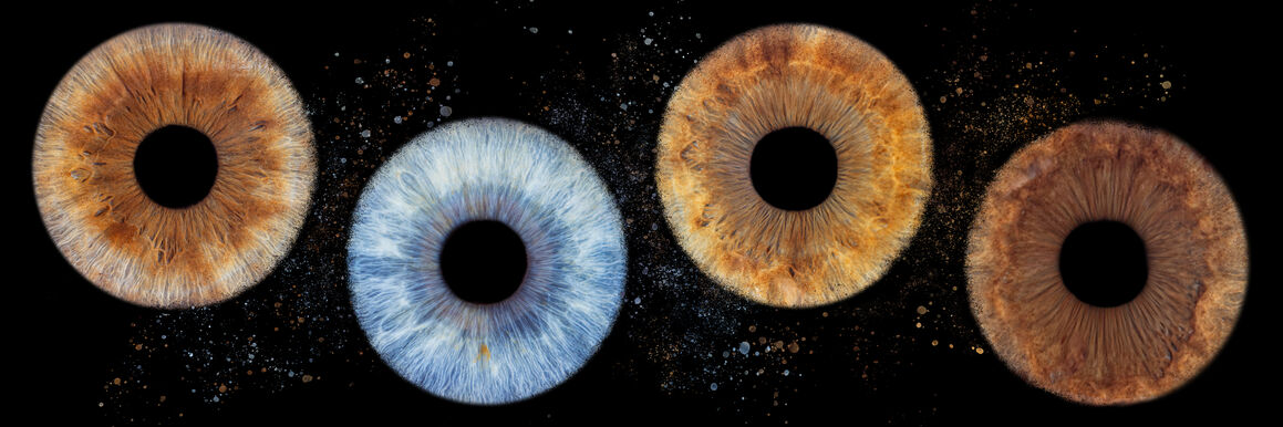 L'offre d'été sur votre photo d'iris