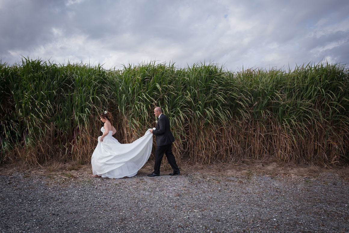 Photos de mariage - Couple