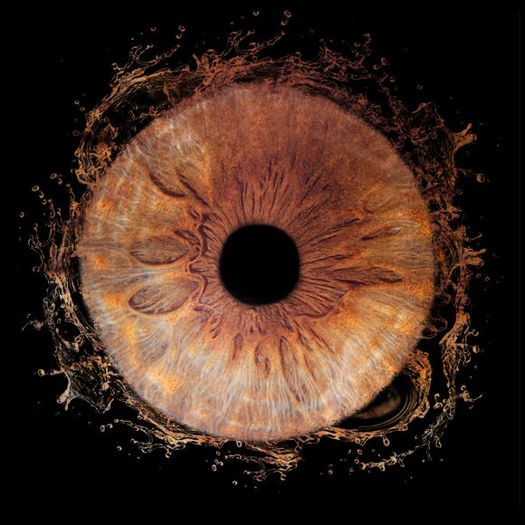 Iris 1 oeil