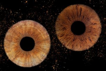 Iris