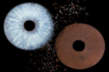 Iris 2 yeux