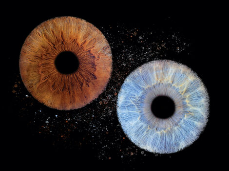 Iris